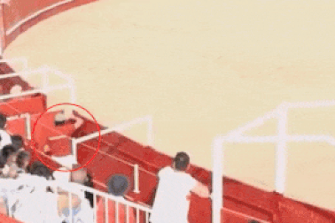 Kinh hoàng khoảnh khắc người đàn ông bị bò tót húc tử vong