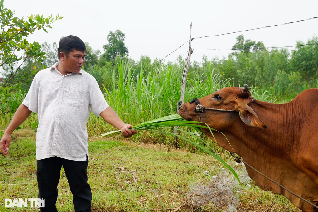 Bí kíp khiến vùng đất khỉ ho cò gáy sinh lãi trăm triệu  - 3