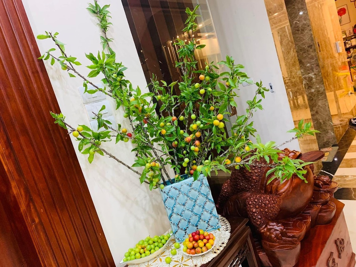Hội chị em dò dẫm chợ mạng, săn cành mận trĩu quả trưng bày góc nhà - 2 Hội chị em dò dẫm chợ mạng, săn cành mận trĩu quả trưng bày góc nhà - 2