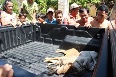 Trộm chó giữa ban ngày, “cẩu tặc” bị người dân vây đánh, đốt xe