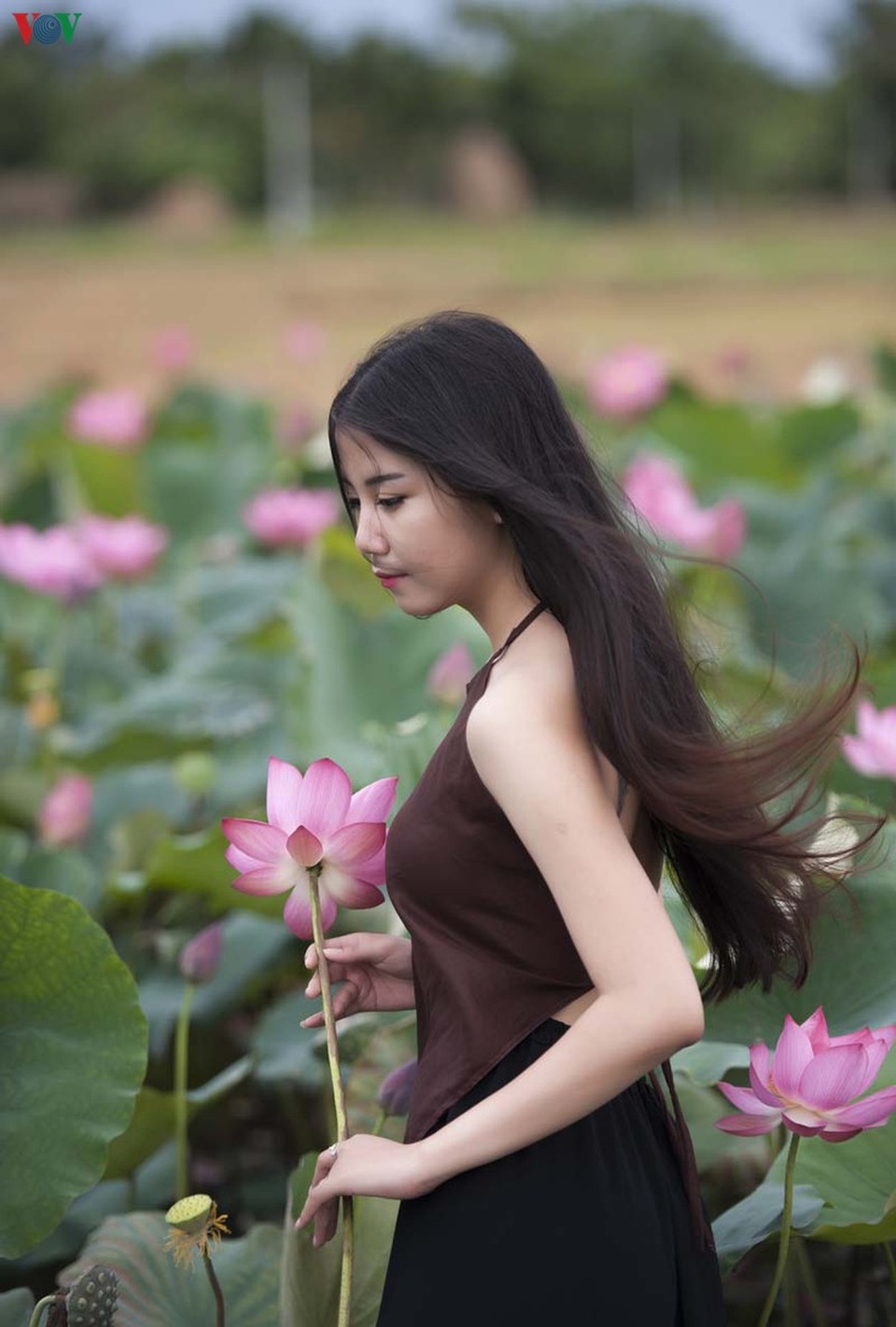 Huế - Thành phố của những sắc hoa mùa hạ - 13 Huế - Thành phố của những sắc hoa mùa hạ - 13