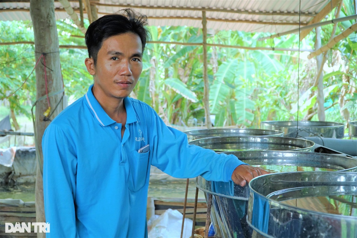Ươm cá thác lác trong bình, 8X thu tiền rủng rỉnh - 2 Ươm cá thác lác trong bình, 8X thu tiền rủng rỉnh - 2