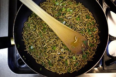 Nhà khoa học Hà Lan khuyến khích thế giới ăn côn trùng