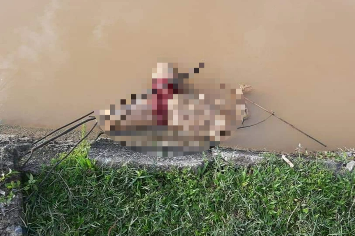 Phát hiện thi thể một bé gái trôi trên kênh - 1 Phát hiện thi thể một bé gái trôi trên kênh - 1