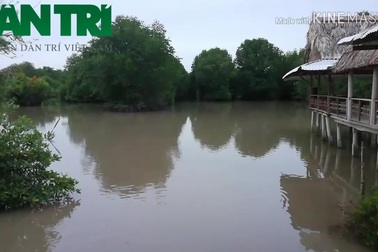 Du lịch cộng đồng ở Cà Mau.