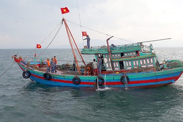 Hà Tĩnh lập Ban chỉ đạo chống khai thác hải sản bất hợp pháp