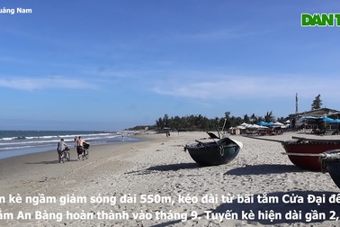 Bãi biển Hội An đang hồi sinh