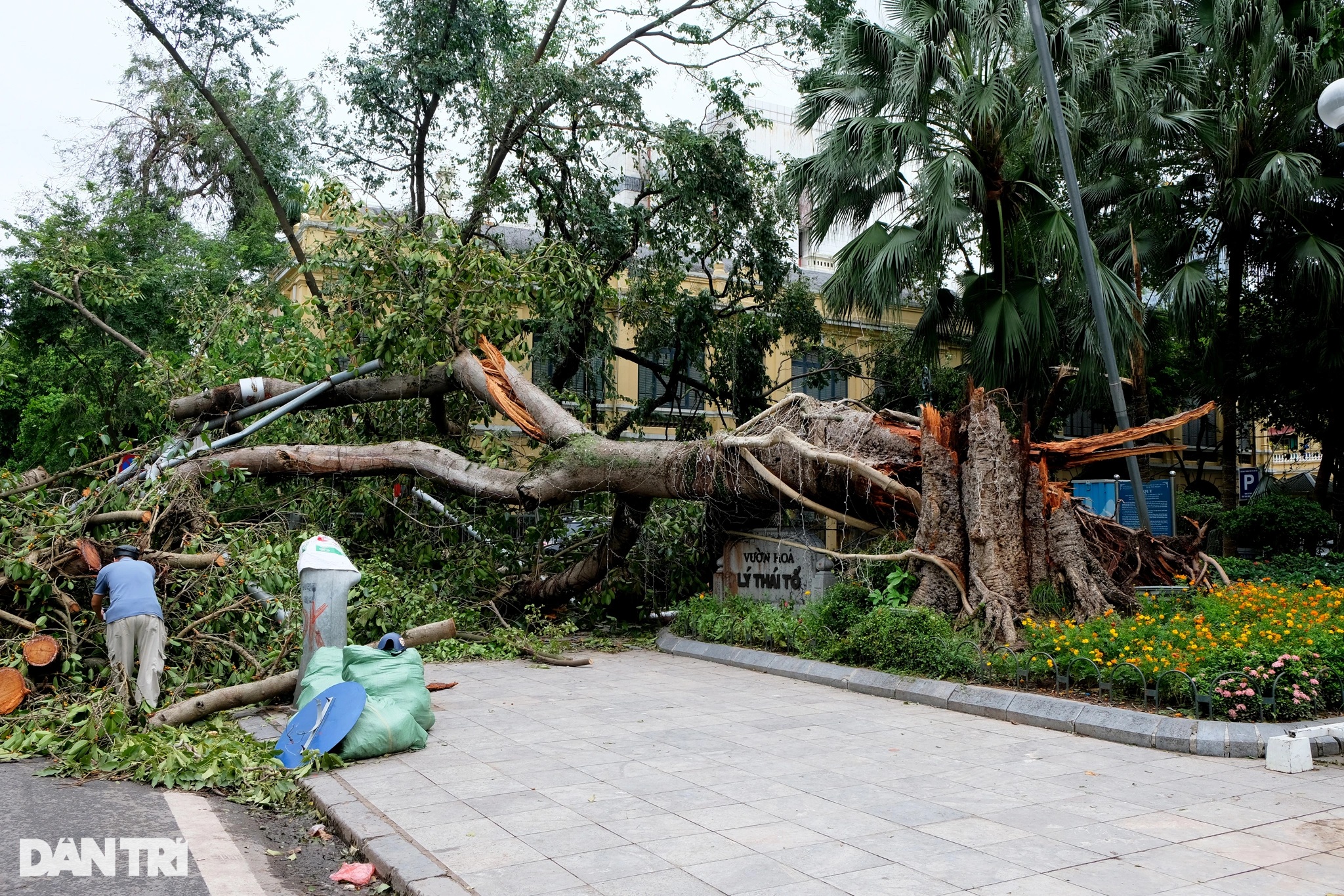 TS Nguyễn Ngọc Huy: Vẫn chưa hết bàng hoàng khi nhắc tới bão số 3 - 4