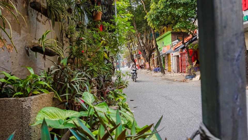 Ngỡ ngàng với khu vườn treo xanh mát được trồng trên bãi rác bốc mùi ở Hà Nội - 8 Ngỡ ngàng với khu vườn treo xanh mát được trồng trên bãi rác bốc mùi ở Hà Nội - 8