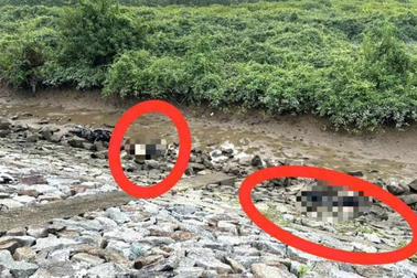 Phát hiện 2 thi thể nam thanh niên dưới bờ đê Hữu Nghèn ở Hà Tĩnh