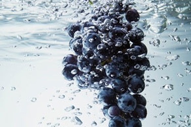 Cách bảo quản hoa quả tươi ngon