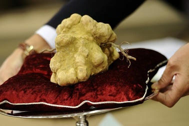 Những món ăn còn “đắt hơn kim cương”