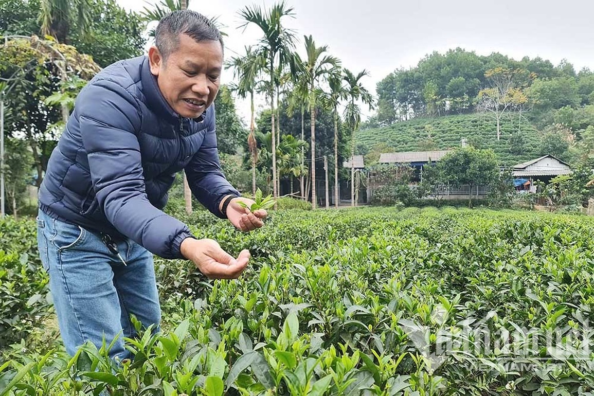 Cho chè ăn trứng gà, huyện ở Thái Nguyên chia nhau bọc tiền 1.200 tỷ - 3 Cho chè ăn trứng gà, huyện ở Thái Nguyên chia nhau bọc tiền 1.200 tỷ - 3