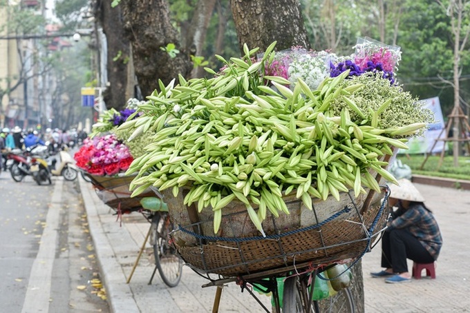 Hà Nội trong sắc trắng tinh khôi của hoa loa kèn - Ảnh 2. Hà Nội trong sắc trắng tinh khôi của hoa loa kèn - Ảnh 2.