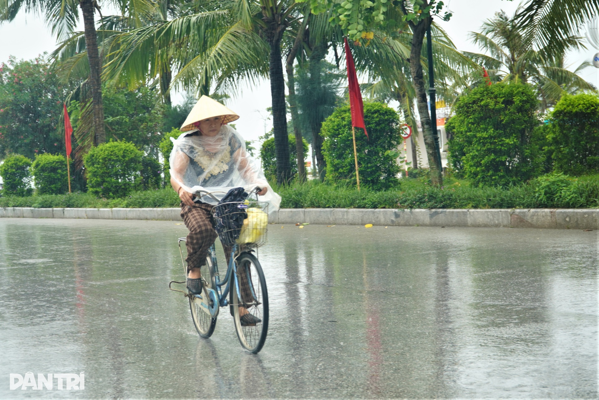 Du khách trải nghiệm biển Sầm Sơn trước bão - 4 Du khách trải nghiệm biển Sầm Sơn trước bão - 4