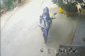 Clip "chủ tiệm vàng tung cước hạ gục tên cướp" gây ấn tượng tuần qua