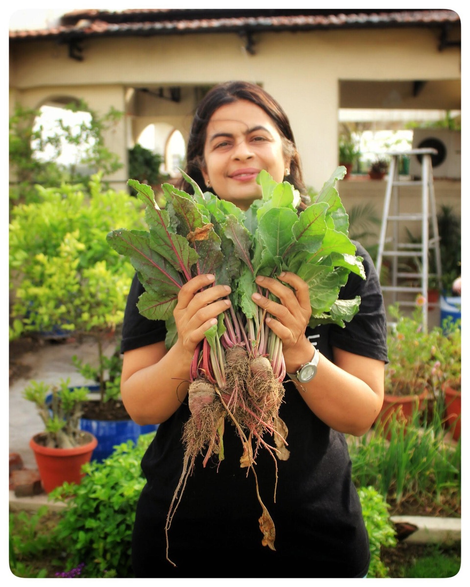 Mát mắt với khu vườn 240m2 trên sân thượng tầng 7 xanh tốt như nông trại - 11