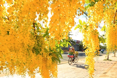 Sắc màu mùa xuân