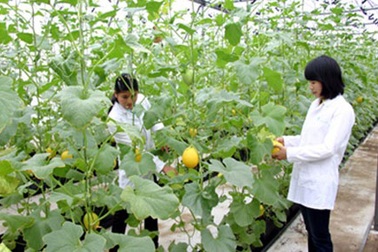 Tài trợ 155 triệu đô la Mỹ hỗ trợ tự chủ giáo dục đại học tại Việt Nam