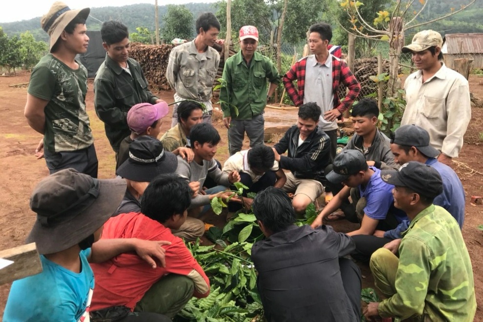 Chuyển đổi nghề cho lao động vùng cao thường sống dựa vào rừng - 6 Chuyển đổi nghề cho lao động vùng cao thường sống dựa vào rừng - 6