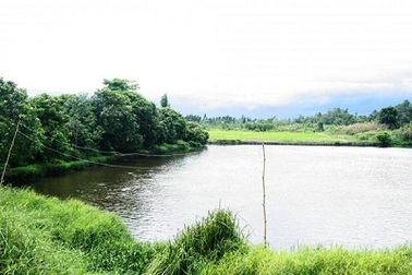 Cho vay nông nghiệp nông thôn: Món vay nhỏ nhưng thị trường lớn 