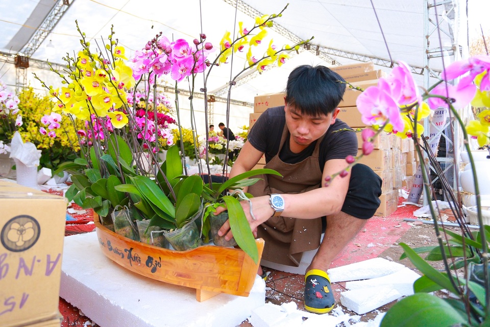 Chậu lan hồ điệp “khủng” cao hai mét, giá trăm triệu phục vụ đại gia chơi Tết Canh Tý - 6 Chậu lan hồ điệp “khủng” cao hai mét, giá trăm triệu phục vụ đại gia chơi Tết Canh Tý - 6
