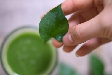 4 công thức nước ép diếp cá thanh nhiệt, đẹp da, dễ uống