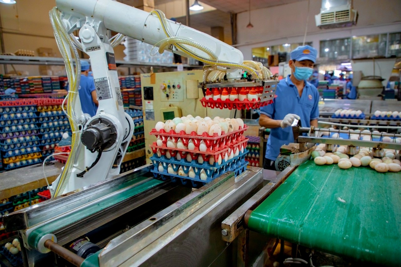 Tặng tiền, tăng lương... công nhân TPHCM vẫn nghỉ việc, bỏ phố về quê - 11 Tặng tiền, tăng lương... công nhân TPHCM vẫn nghỉ việc, bỏ phố về quê - 11