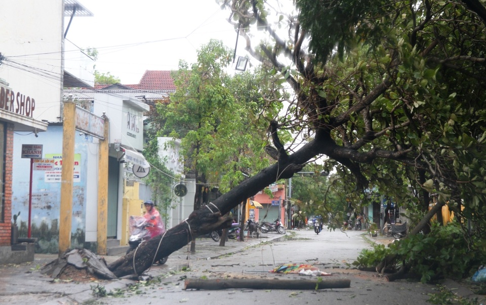 Tàu chìm, nhà sập, trường học tốc mái, cây xanh ngã đổ trong bão số 13 - 19 Tàu chìm, nhà sập, trường học tốc mái, cây xanh ngã đổ trong bão số 13 - 19
