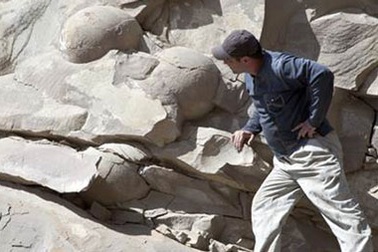 Nga: Xôn xao về "kho báu" trứng  khủng long lớn nhất thế giới