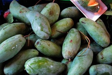 Dự thảo hàng “Made in Vietnam”: Giống xoài Thái Lan nhưng trồng ở Việt Nam, gọi thế nào?