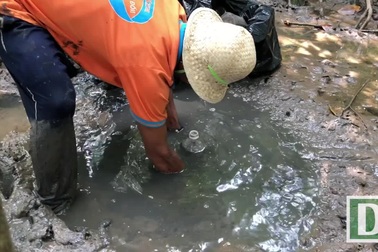 Dùng chai nhựa bẫy thòi lòi cực hay ở Sài Gòn