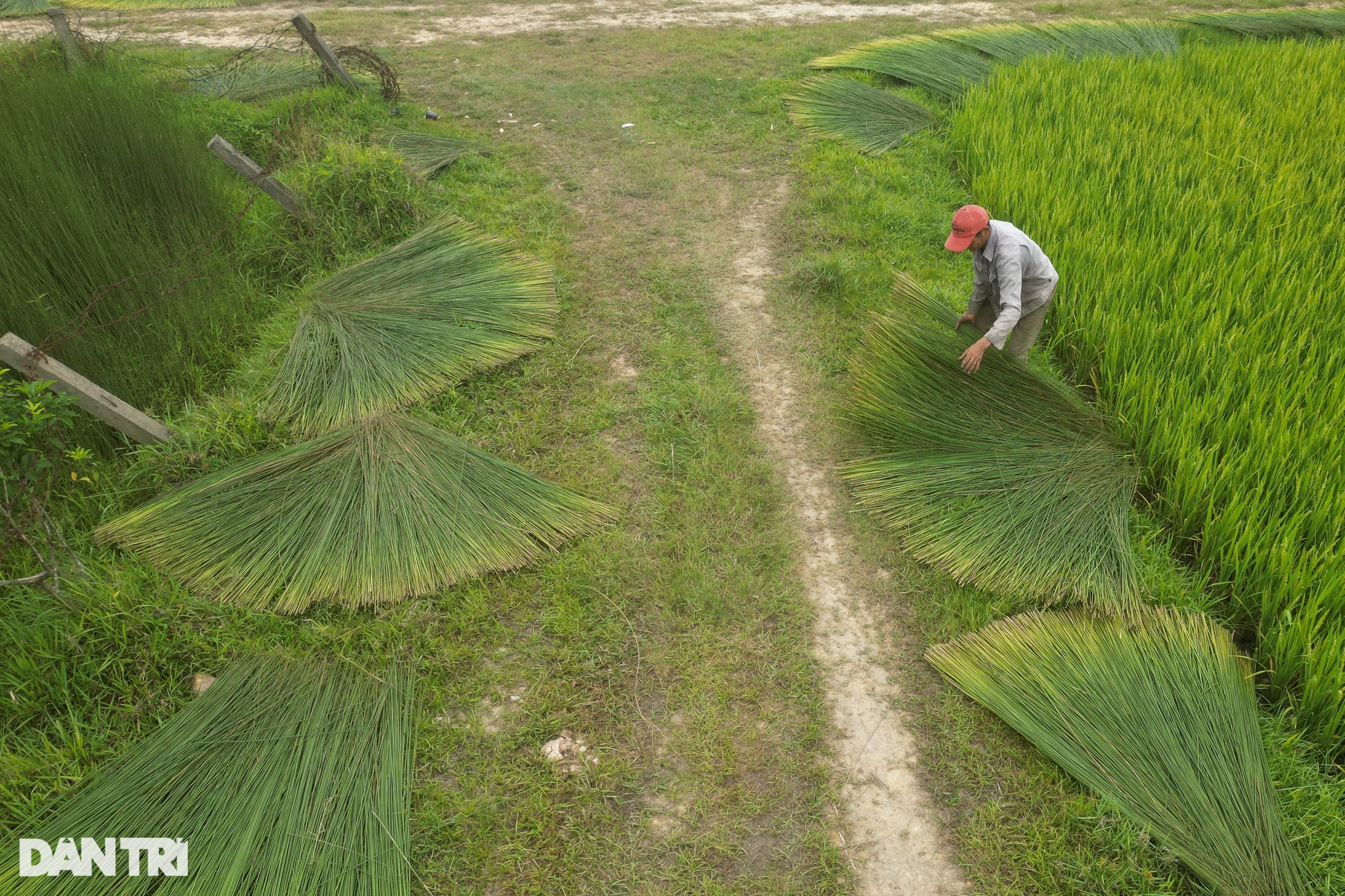 Làng nghề hơn 500 năm tuổi biến cỏ dại thành sản phẩm xuất ngoại - 2