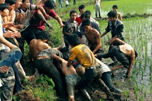 Trăm trai làng hừng hực cướp quả lộc