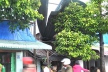 Dông lốc làm hư hại gần 100 nhà dân