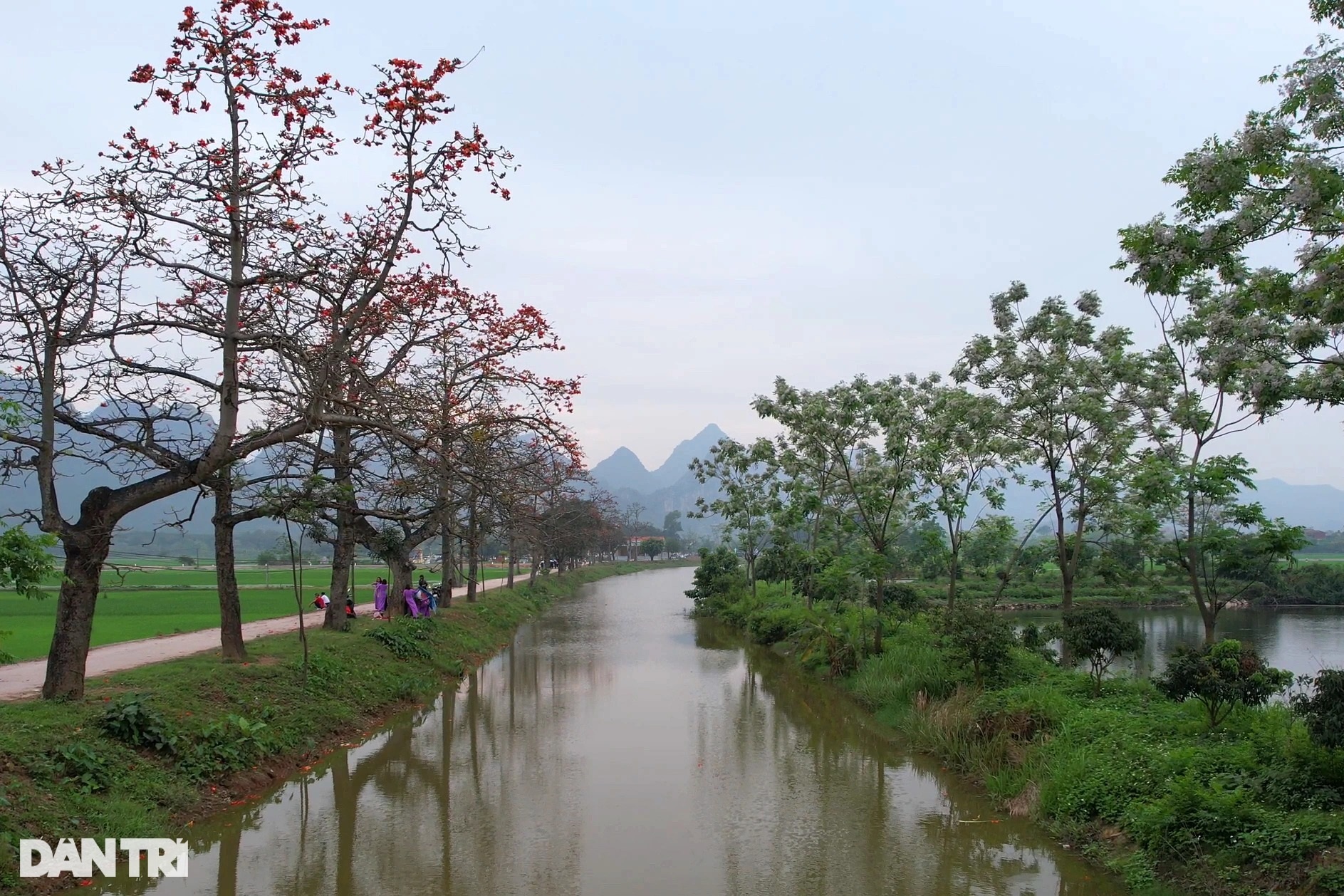 Đỏ rực từ nông thôn đến thành phố mùa hoa gạo tháng Ba ở Hà Nội - 8 Đỏ rực từ nông thôn đến thành phố mùa hoa gạo tháng Ba ở Hà Nội - 8