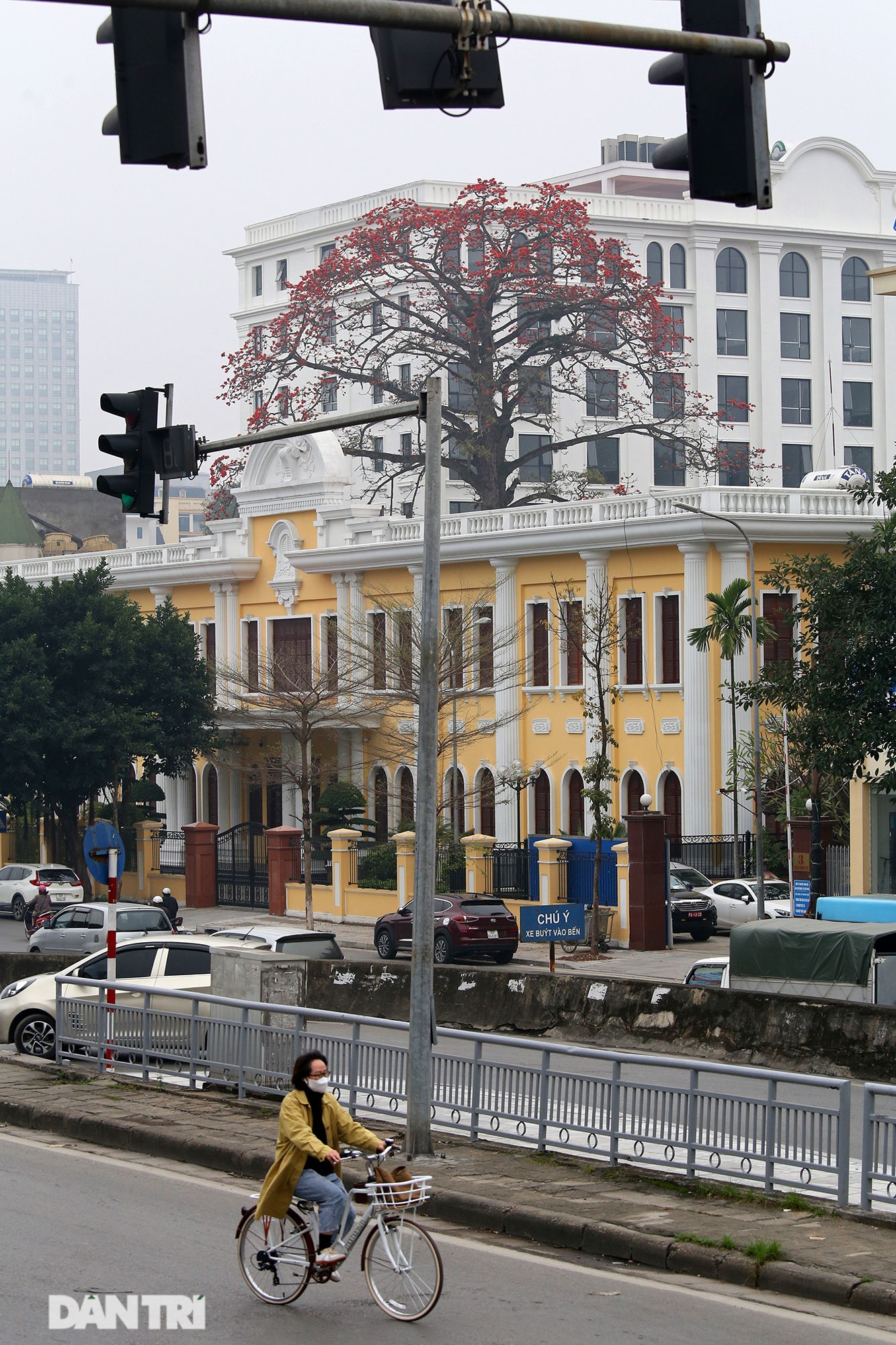 Mùa hoa gạo trong phố - 3 Mùa hoa gạo trong phố - 3