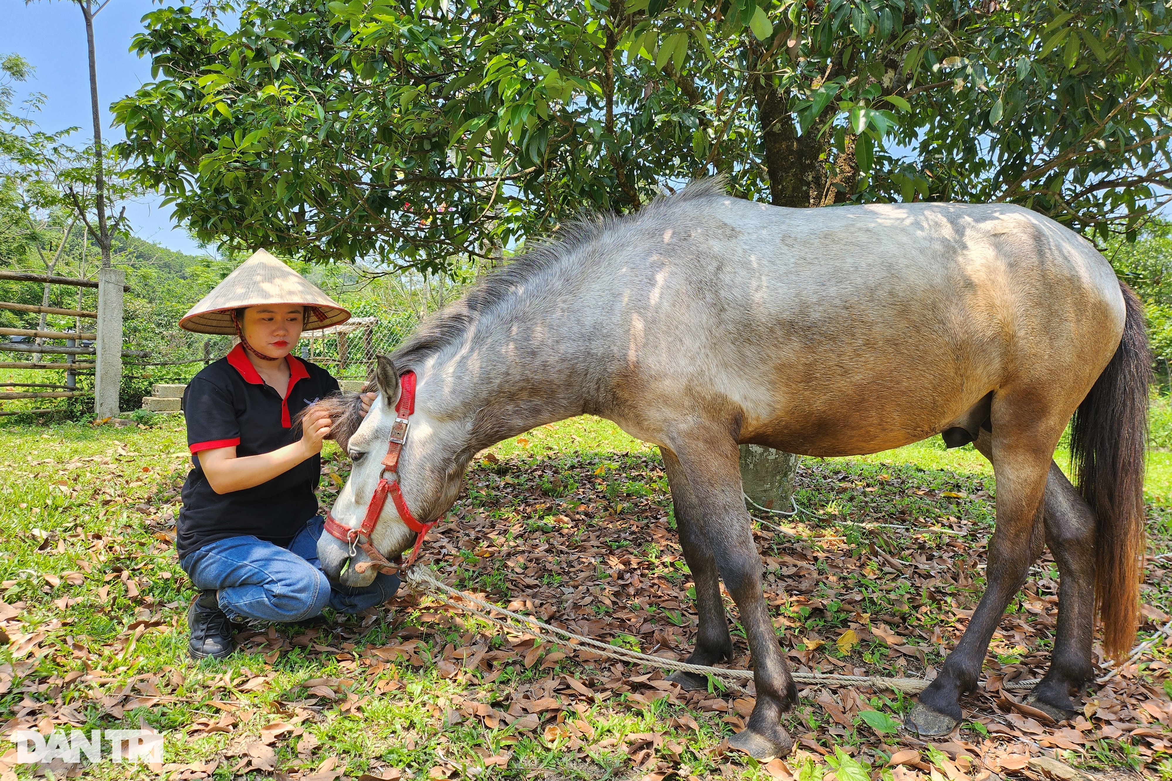 Biến vườn hoang thành điểm check in vạn người mê, 9X thu nửa tỷ đồng - 3 Biến vườn hoang thành điểm check in vạn người mê, 9X thu nửa tỷ đồng - 3