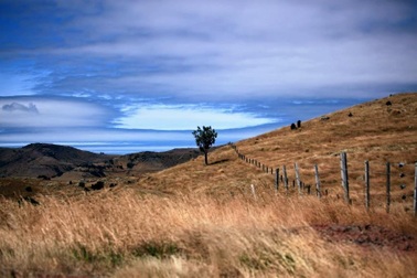 Cuộc sống của du học sinh màu gì?