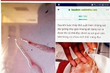 Bị phạt 10 triệu đồng vì đăng Facebook sai sự thật về việc "heo nhiễm sán"
