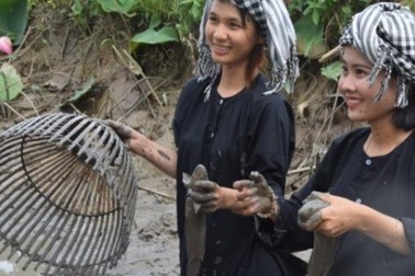 Một ngày lênh đênh Tràm Chim, ngắm chim, mò cua bắt cá