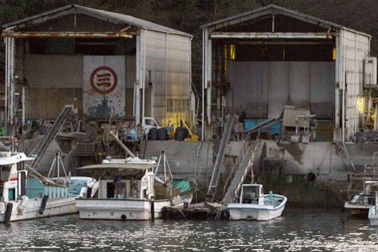 Một người Trung Quốc đâm chết 2 người tại Nhật