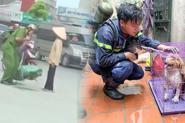 Hành động đẹp trước khi hy sinh của chiến sĩ trong đám cháy ở Hà Nội