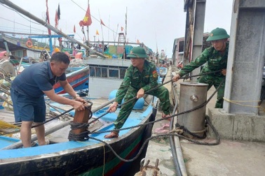 Thanh Hóa và Nghệ An cấm biển, Ninh Bình tính phương án di dân chung cư cũ
