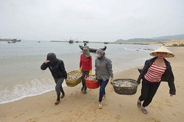 Bộ Tài nguyên và Môi trường yêu cầu duy trì quan trắc môi trường biển miền Trung