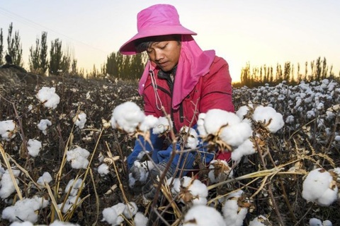 Hạ viện Mỹ thông qua lệnh cấm nhập khẩu hàng hóa từ Tân Cương