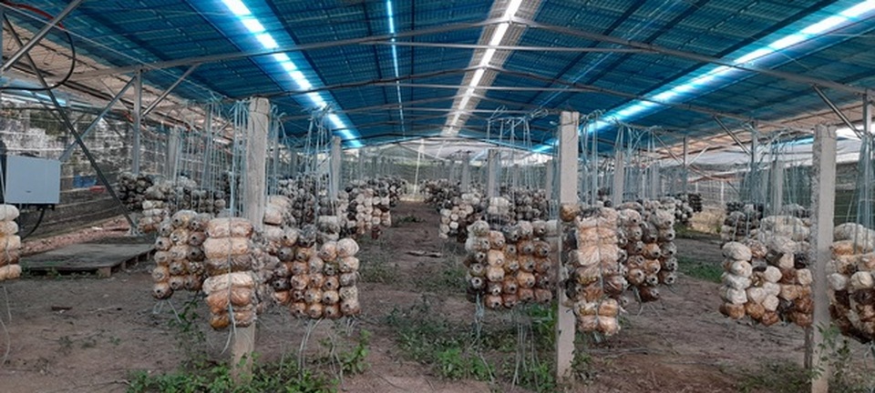 Rà soát, xác minh rõ vụ trá hình dự án nông nghiệp làm điện mặt trời - 2 Rà soát, xác minh rõ vụ trá hình dự án nông nghiệp làm điện mặt trời - 2