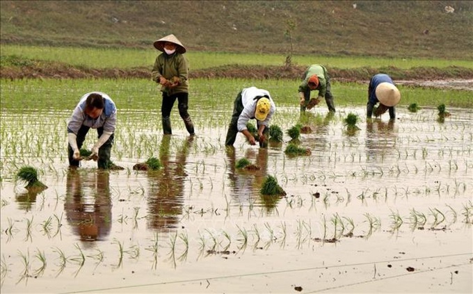 Từ 0 giờ ngày 22/2 sẽ bắt đầu lấy nước đổ ải đợt 3 cho vụ đông xuân - Ảnh 1. Từ 0 giờ ngày 22/2 sẽ bắt đầu lấy nước đổ ải đợt 3 cho vụ đông xuân - Ảnh 1.
