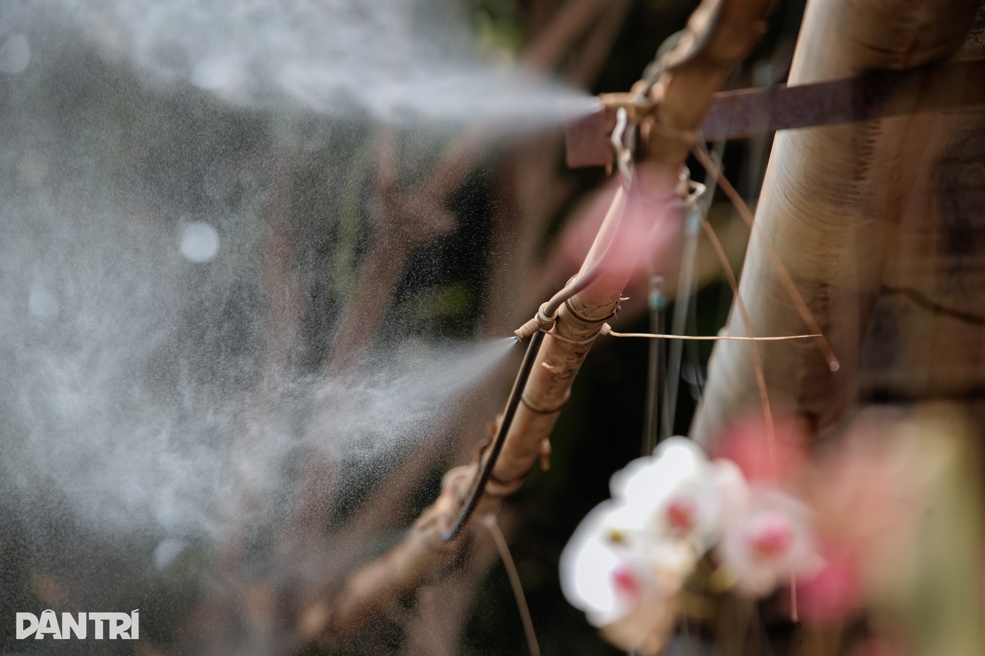 Bụi đỏ phủ kín ngóc ngách nhà dân ven dự án sân bay lớn nhất Việt Nam - 8 Bụi đỏ phủ kín ngóc ngách nhà dân ven dự án sân bay lớn nhất Việt Nam - 8