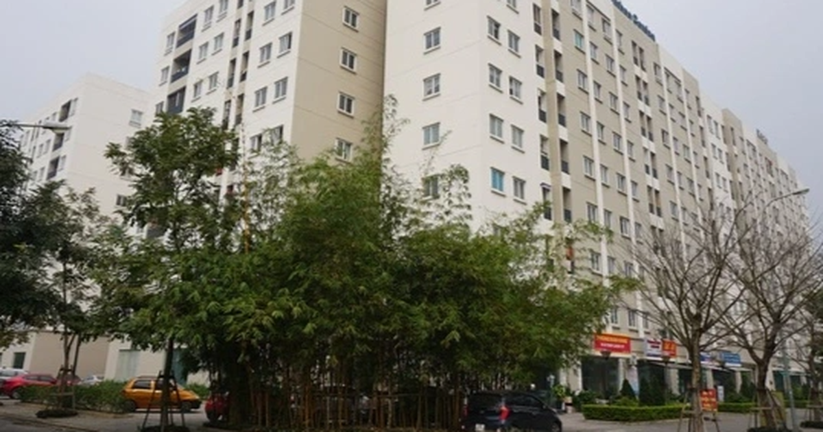 View - Tăng lãi suất vay mua nhà ở xã hội lên 5%/năm, những ai bị ảnh hưởng? | Báo Dân trí